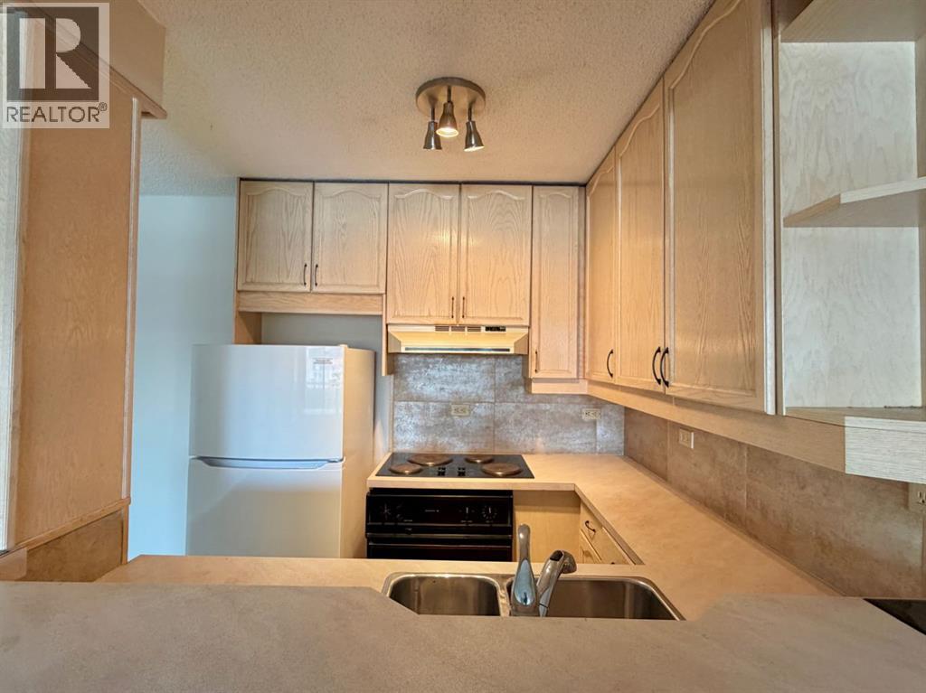 501, 903 19 Avenue SW, Calgary, Alberta T2T 0H8 - Photo 9 - A2298273