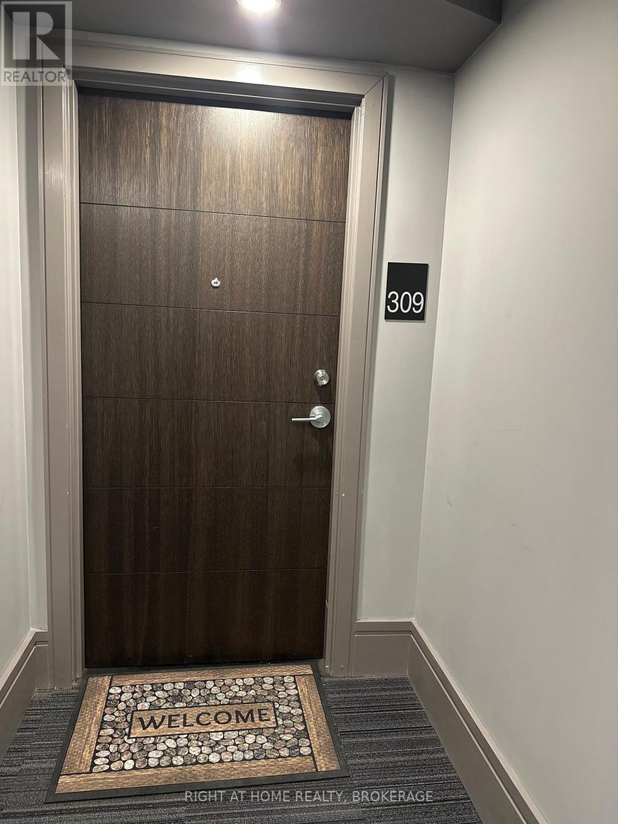 309 - 300b Fourth Avenue, St. Catharines, Ontario  L2S 0E6 - Photo 10 - X12980358