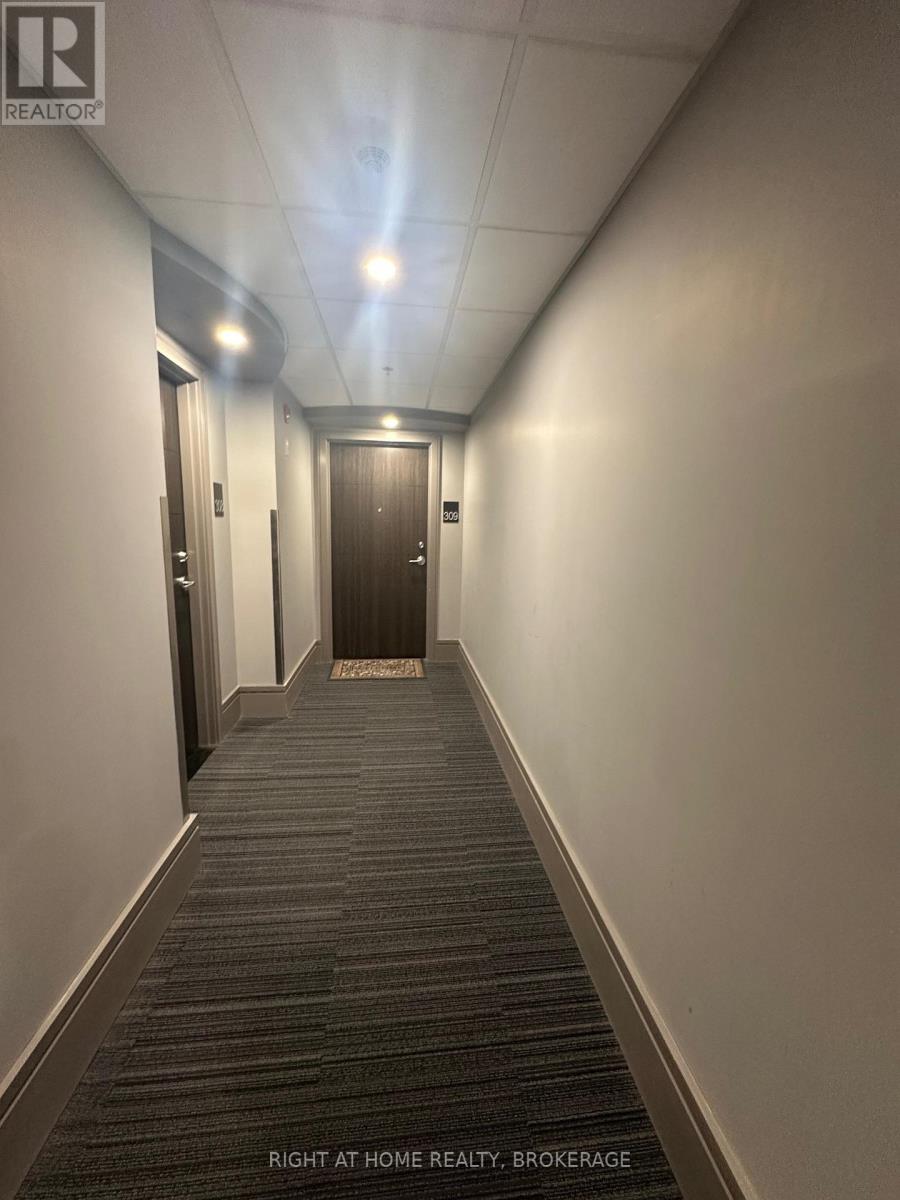 309 - 300b Fourth Avenue, St. Catharines, Ontario  L2S 0E6 - Photo 11 - X12980358