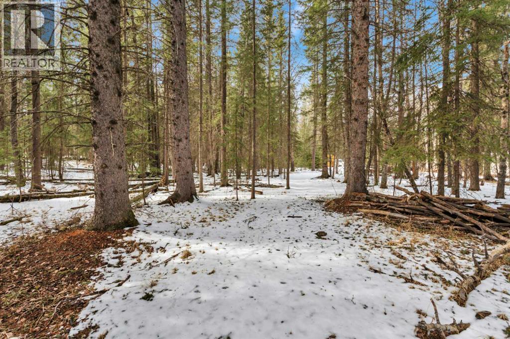 5308 Highway 579, Rural Mountain View County, Alberta  T0M 2E0 - Photo 33 - A2298194