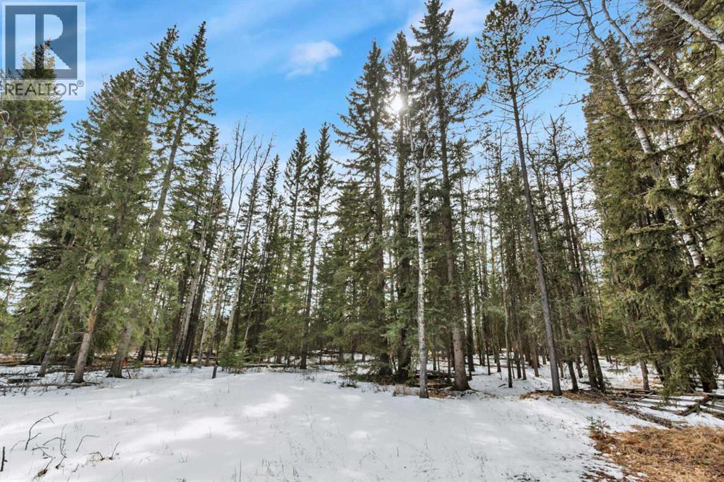 5308 Highway 579, Rural Mountain View County, Alberta  T0M 2E0 - Photo 34 - A2298194