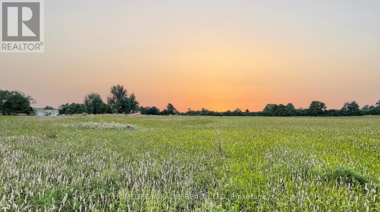 18373 Loyalist Parkway, Prince Edward County, Ontario K0K 2J0 - Photo 4 - X12979764