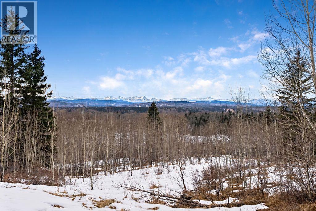 288145 160 Avenue W, Rural Foothills County, Alberta  T0L 1W2 - Photo 3 - A2284792