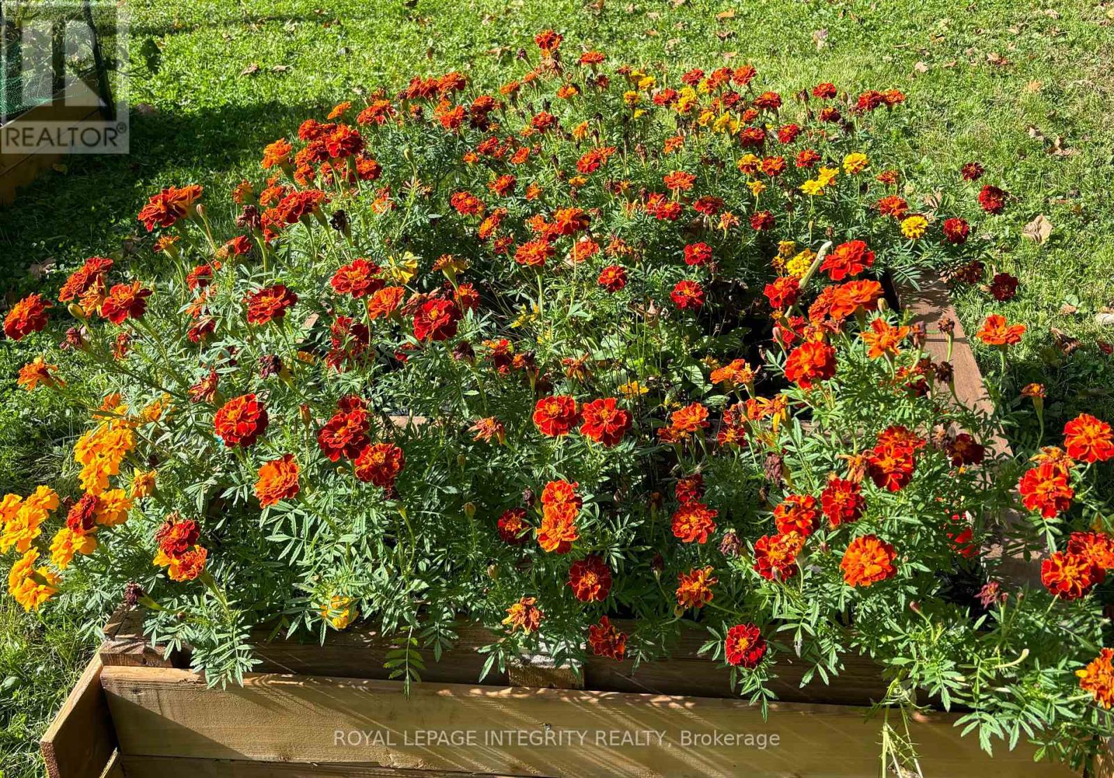 3976 Carp Road, Ottawa, Ontario  K0A 1L0 - Photo 40 - X12980526