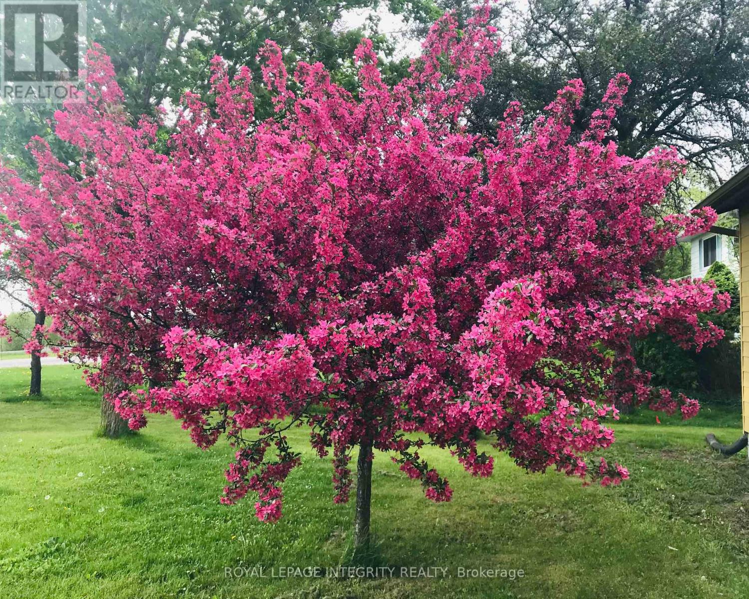 3976 Carp Road, Ottawa, Ontario  K0A 1L0 - Photo 41 - X12980526