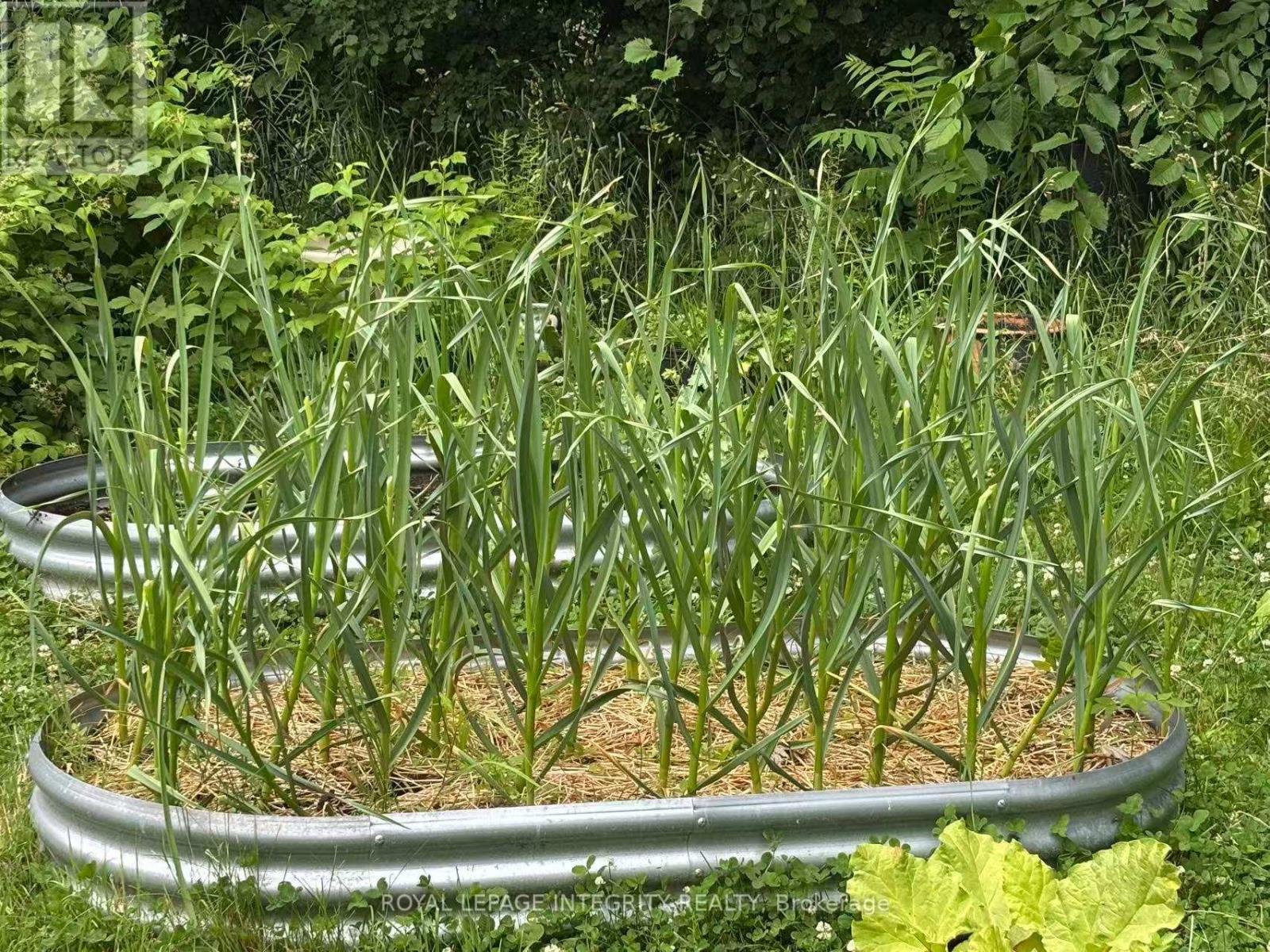 3976 Carp Road, Ottawa, Ontario  K0A 1L0 - Photo 42 - X12980526