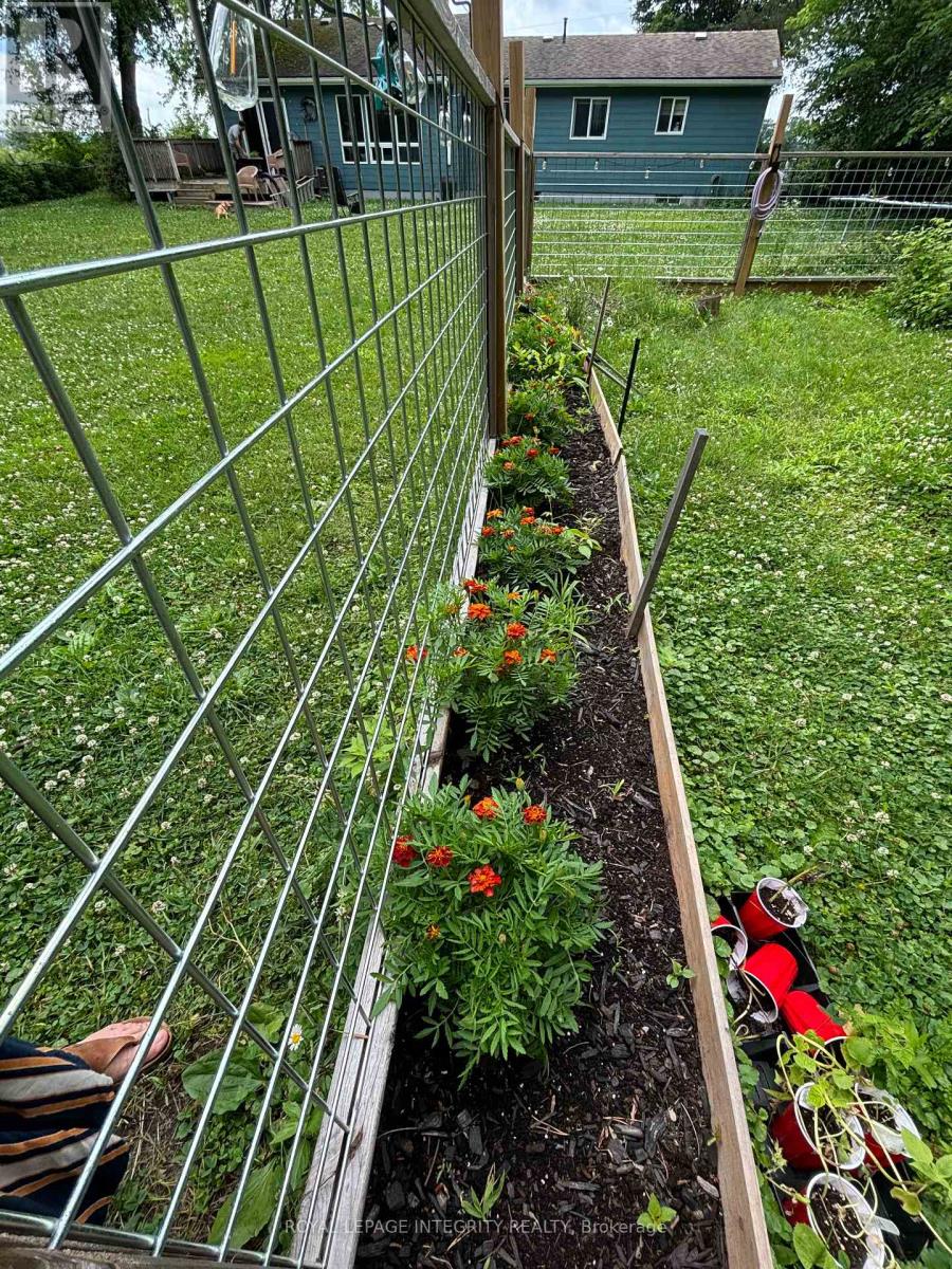 3976 Carp Road, Ottawa, Ontario  K0A 1L0 - Photo 43 - X12980526