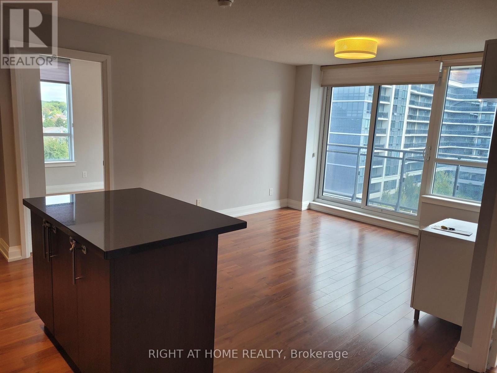 723 - 370 Highway 7 E, Richmond Hill, Ontario  L4B 0C4 - Photo 11 - N12980630