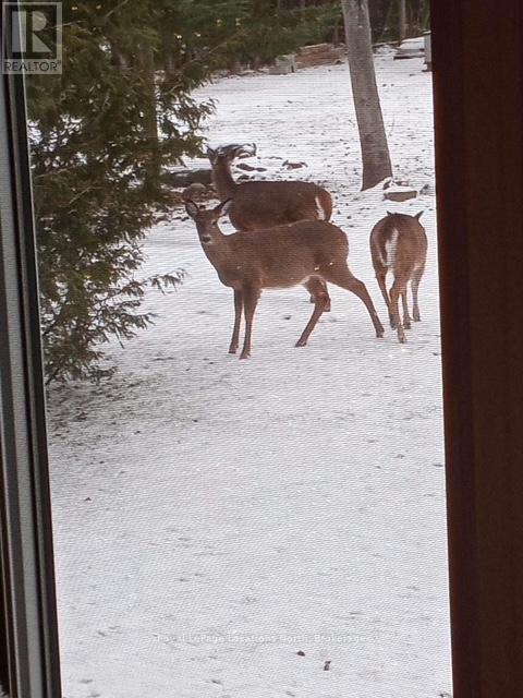 2 Maplewood Drive, Tiny, Ontario  L0L 1P1 - Photo 45 - S12980704