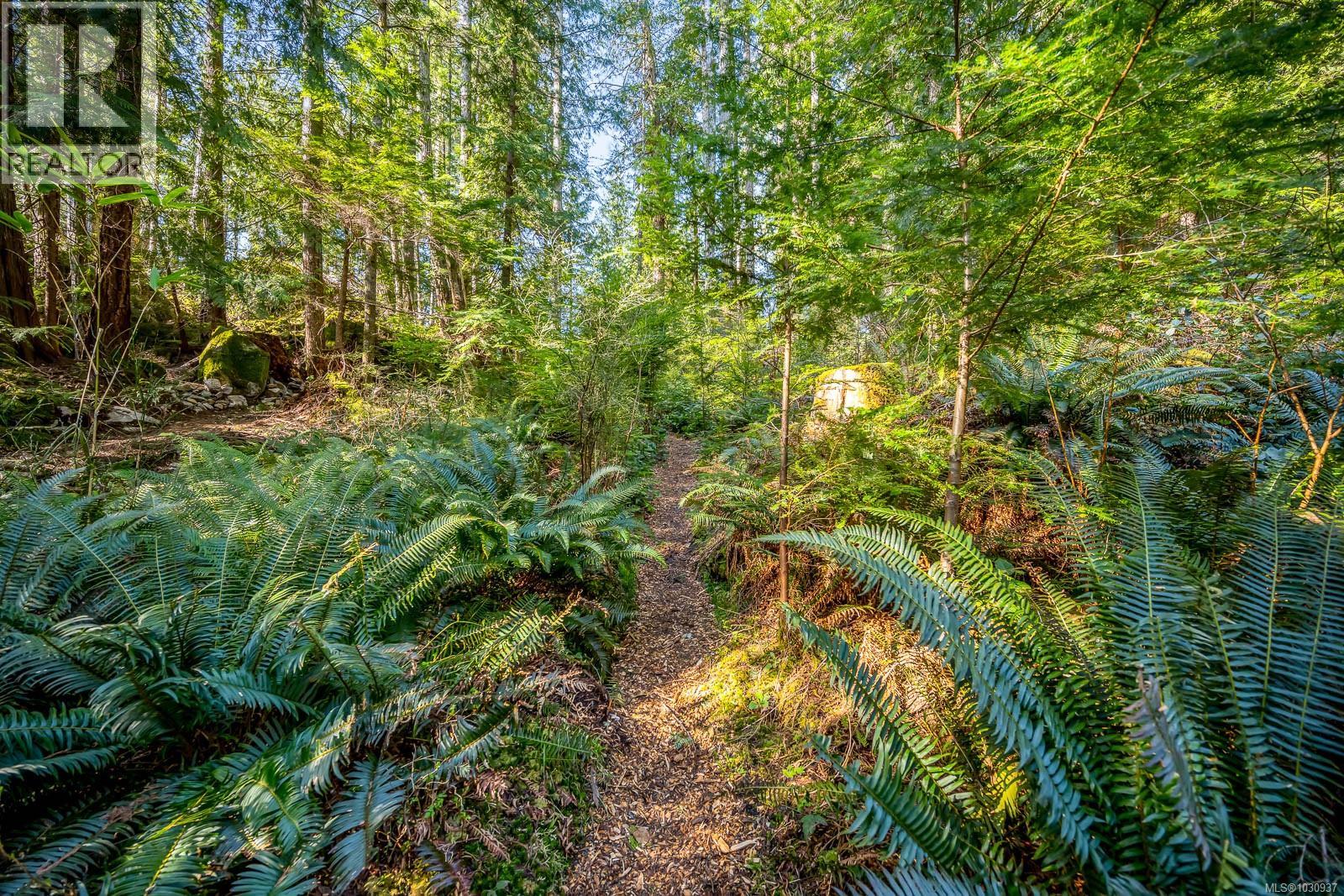 421 Whaletown Rd, Cortes Island, British Columbia  V0P 1Z0 - Photo 35 - 1030937