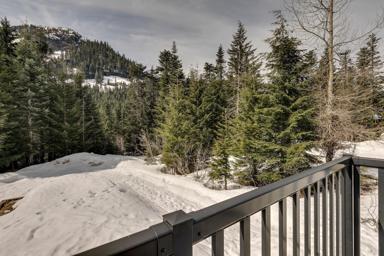 46890 Sakwi Creek Road, Mission, British Columbia  V0M 1A1 - Photo 24 - R3109646