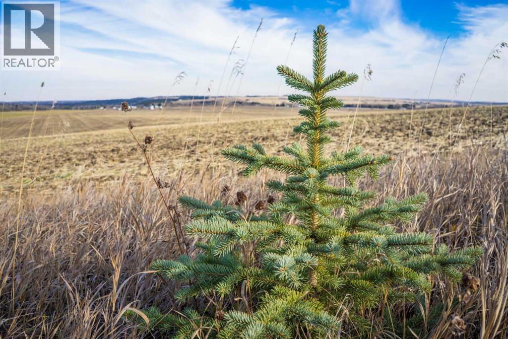 Nw;32;22;2;w5m, Rural Foothills County, Alberta  T1S 0T3 - Photo 49 - A2267830