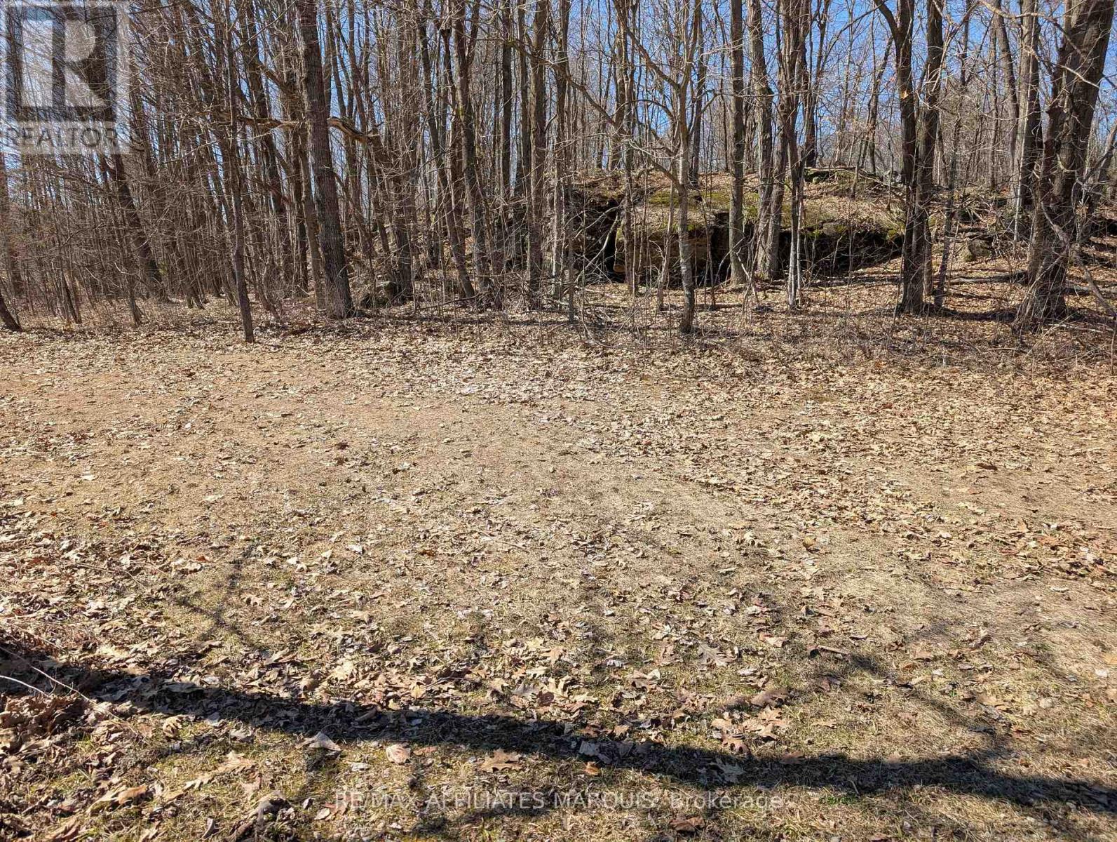 0 Sand Lake Road, Rideau Lakes, Ontario  K0G 1E0 - Photo 7 - X12980842