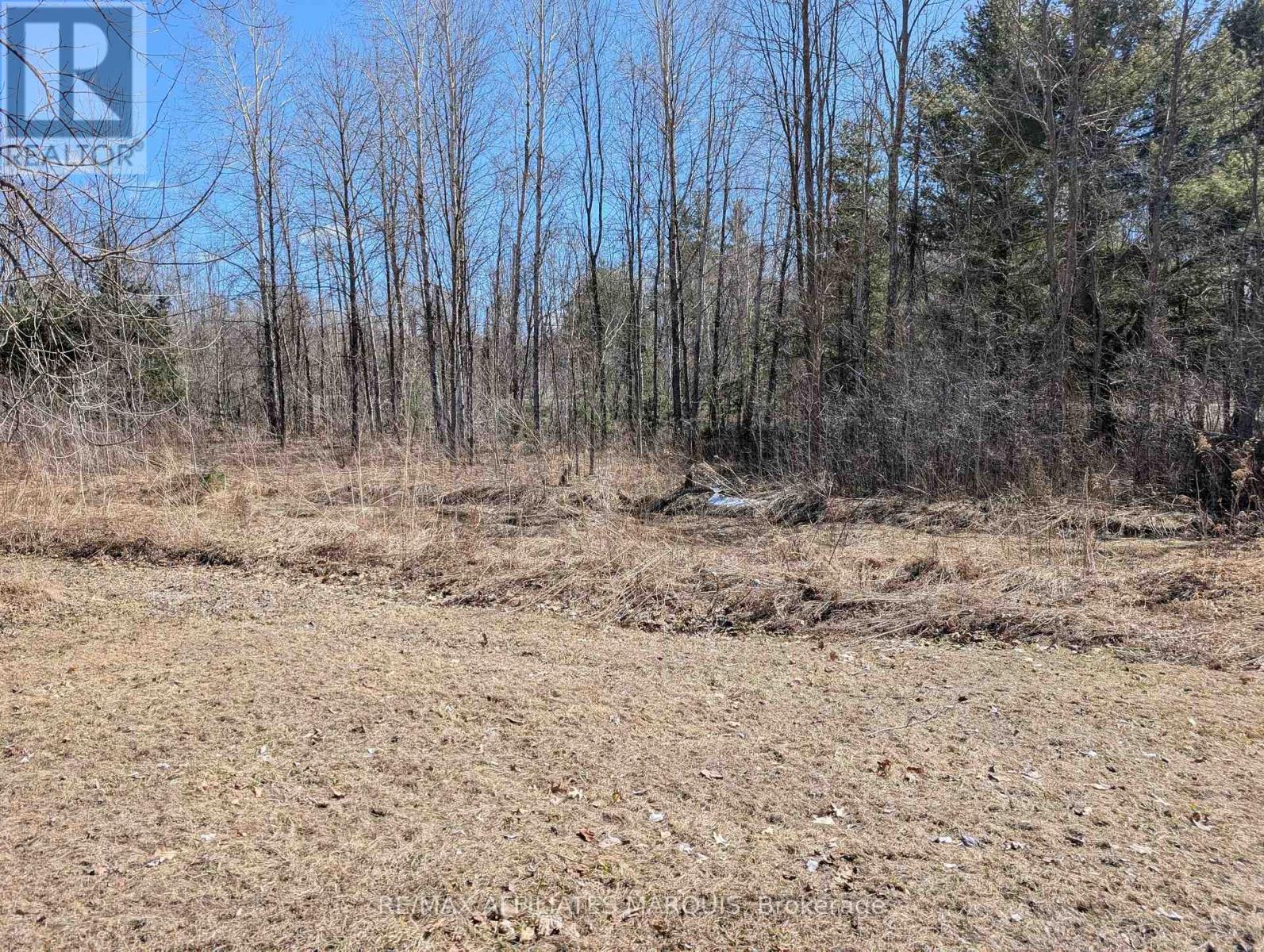 0 Sand Lake Road, Rideau Lakes, Ontario  K0G 1E0 - Photo 9 - X12980842