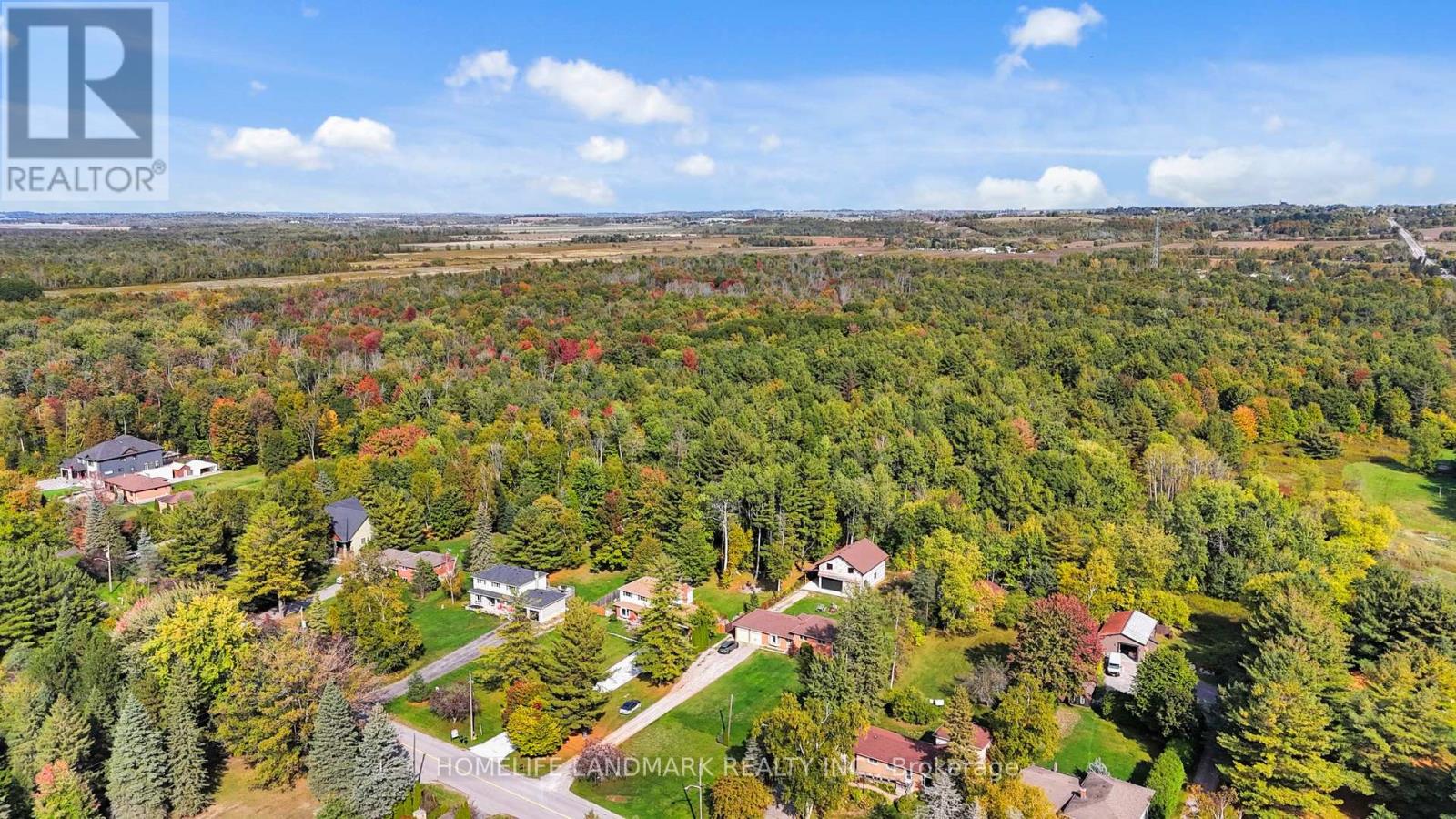 20573 Yonge Street, East Gwillimbury, Ontario  L3Y 4V8 - Photo 45 - N12980782