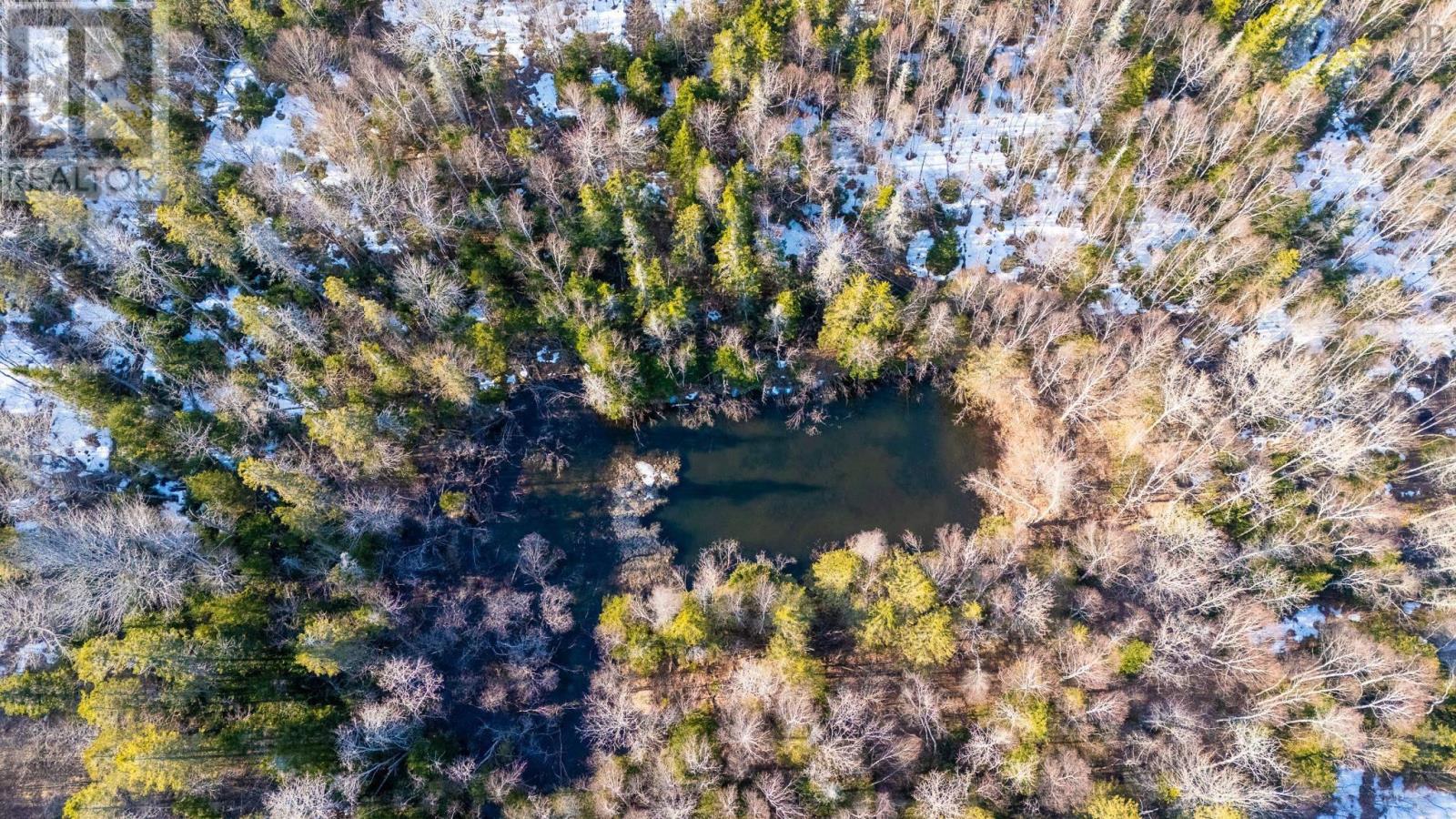 850 Gospel Road, (Portion Of), West Glenmont, Nova Scotia  B0P 1H0 - Photo 3 - 202604910