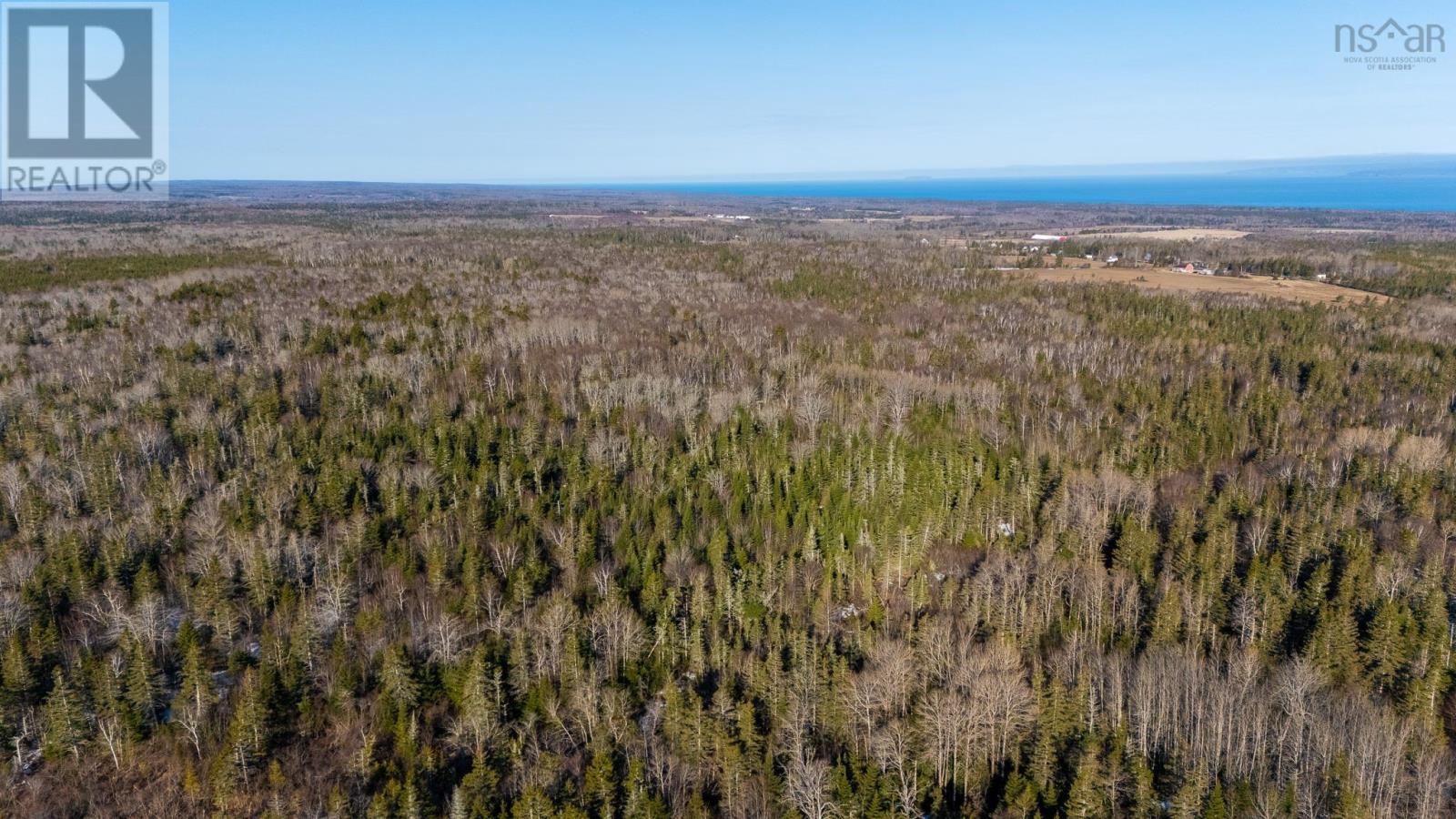 850 Gospel Road, (Portion Of), West Glenmont, Nova Scotia  B0P 1H0 - Photo 6 - 202604910