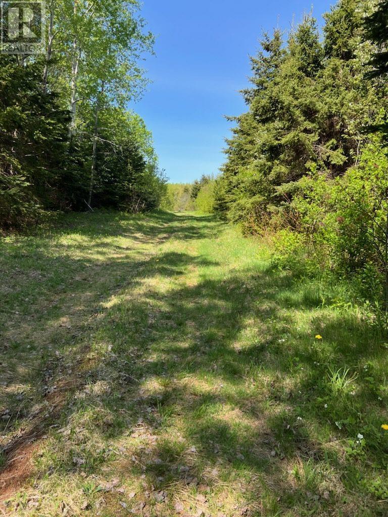 1828 Route 320 - Brothers Road, Peakes, Prince Edward Island  C0A 1A0 - Photo 2 - 202606925