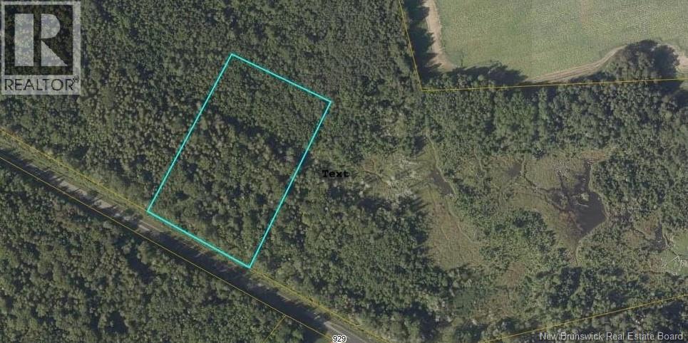 Lot Route 550, Hartford, New Brunswick  E7M 5M2 - Photo 4 - NB136824