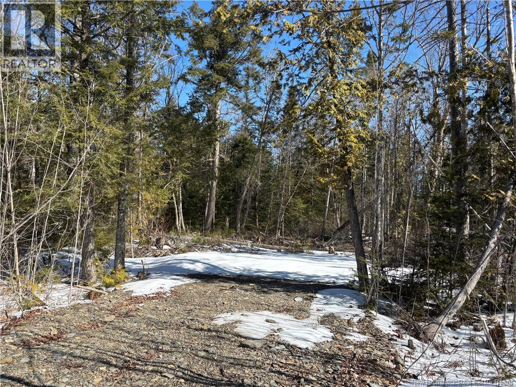 Lot Route 550, Hartford, New Brunswick  E7M 5M2 - Photo 1 - NB136824