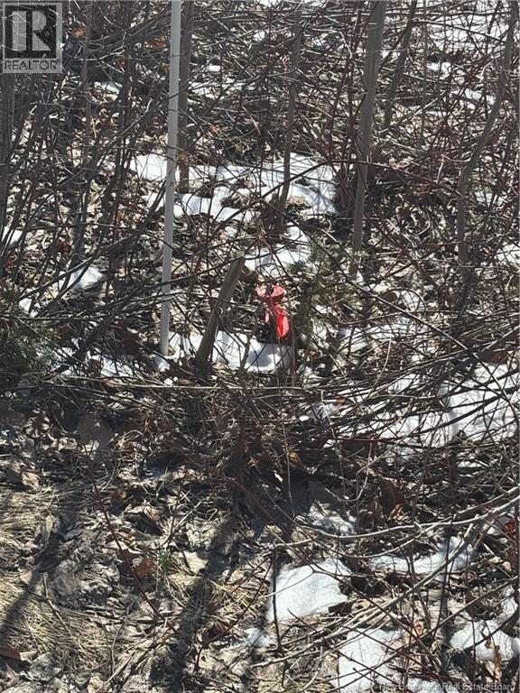 Lot Route 550, Hartford, New Brunswick  E7M 5M2 - Photo 3 - NB136824