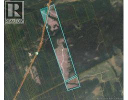 Timberland - Rte 8 Upper Blackville, upper blackville, New Brunswick