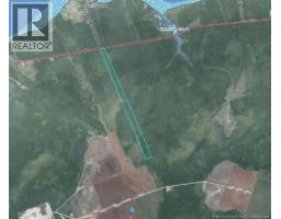 Woodlot Route 117 Hardwicke, Hardwicke, New Brunswick
