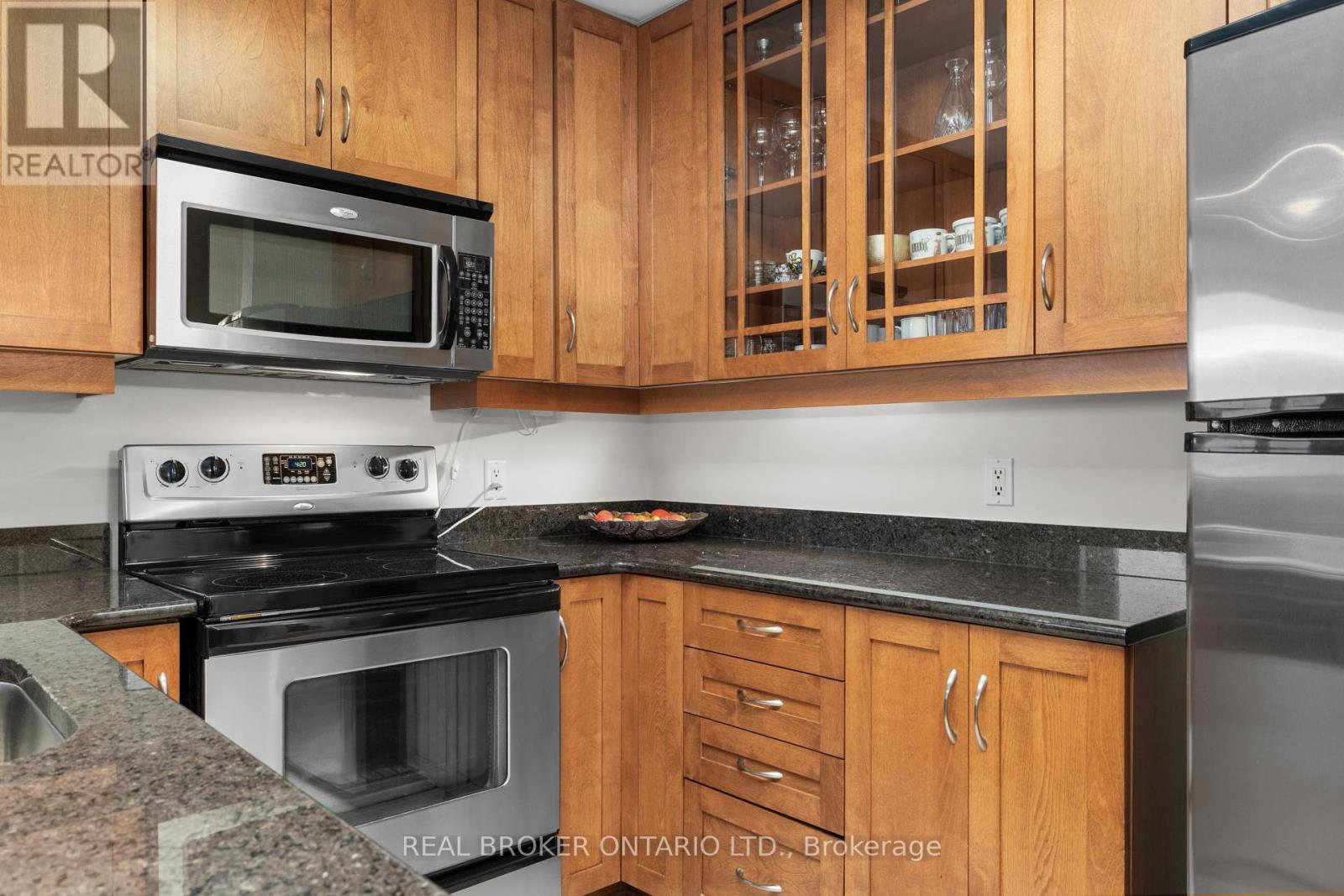 1004 - 314 Central Park Drive, Ottawa, Ontario  K2C 0R2 - Photo 11 - X12886698