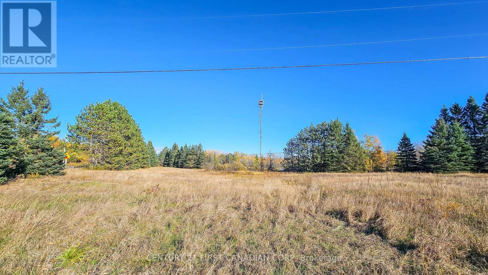 45 Tower Road, Georgian Bay, Ontario  P0C 1H0 - Photo 11 - X12980958