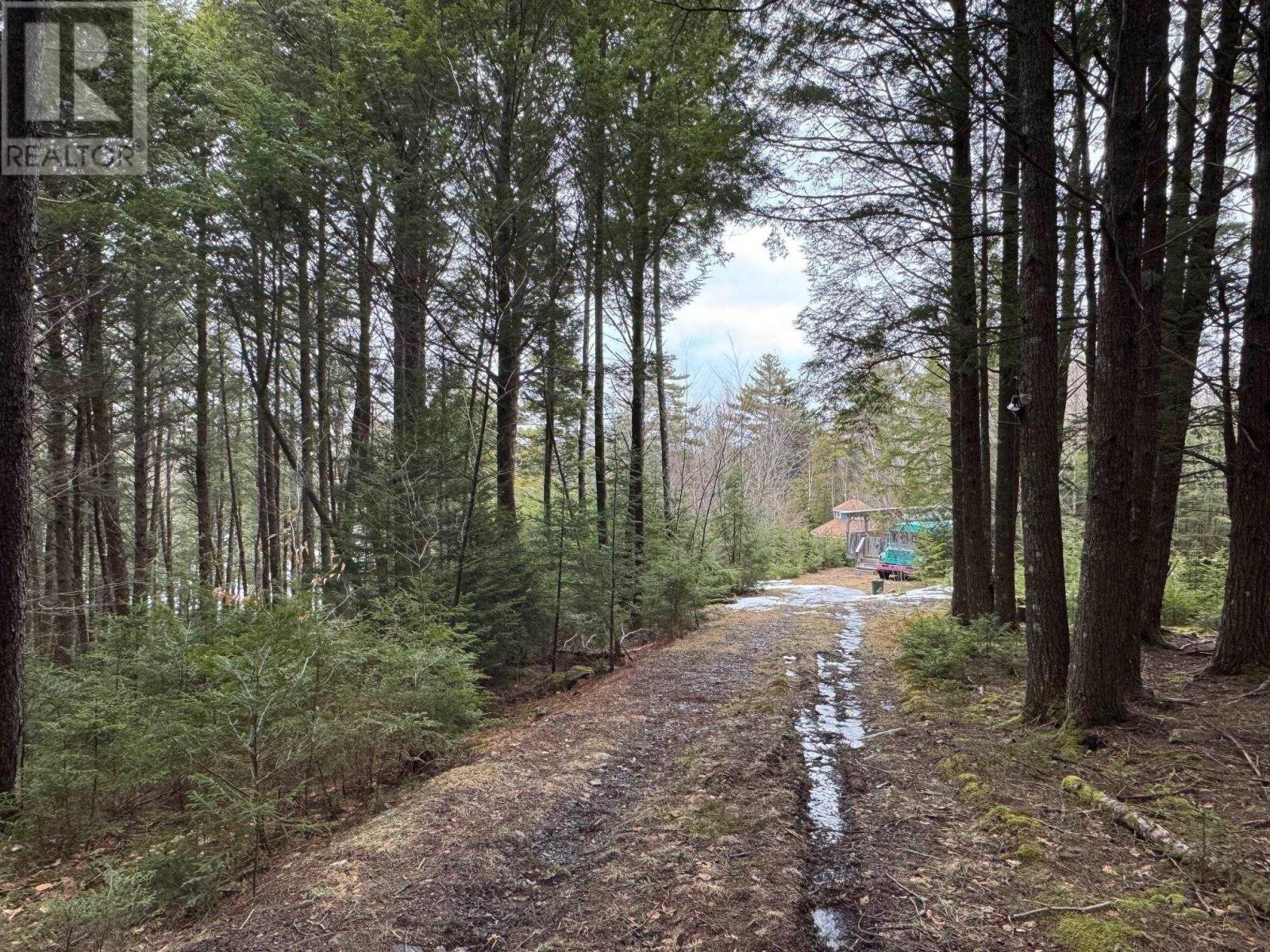 95 Natural Forest Lake Road, Upper Cornwall, Nova Scotia  B0R 1A0 - Photo 25 - 202606511