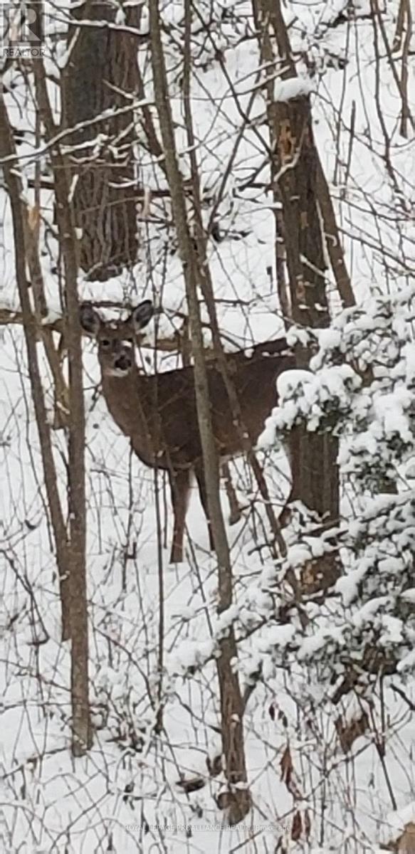 550 Frankford Stirling Road, Quinte West, Ontario  K0K 2C0 - Photo 38 - X12790150