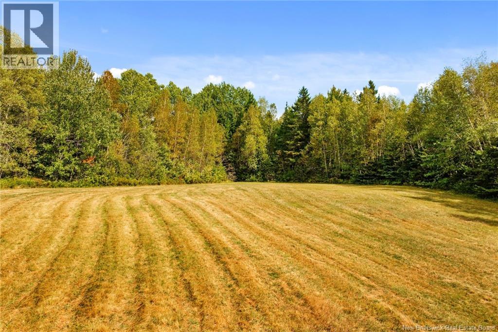 135 Hopkins Rd, Gaspereau Forks, New Brunswick  E4A 2E6 - Photo 21 - NB136862