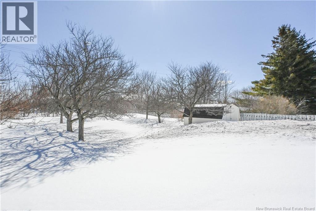148 Des Pins Street, Shippagan, New Brunswick  E8S 1K2 - Photo 11 - NB136867