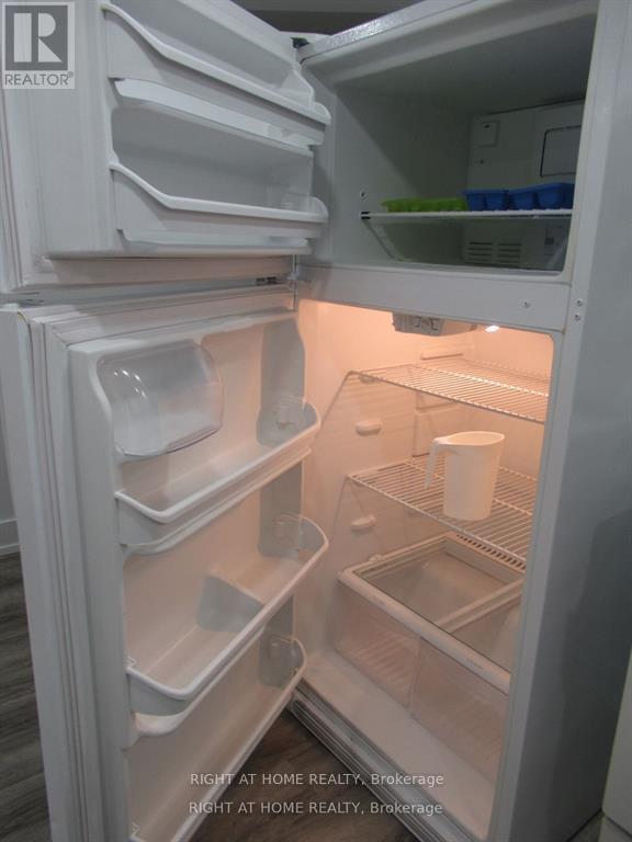 Lower - 272 Roxton Road, Toronto, Ontario  M6G 3P9 - Photo 10 - C12981084