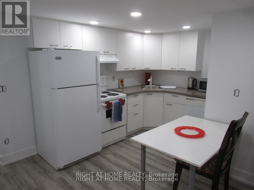 Lower - 272 Roxton Road, Toronto, Ontario  M6G 3P9 - Photo 15 - C12981084