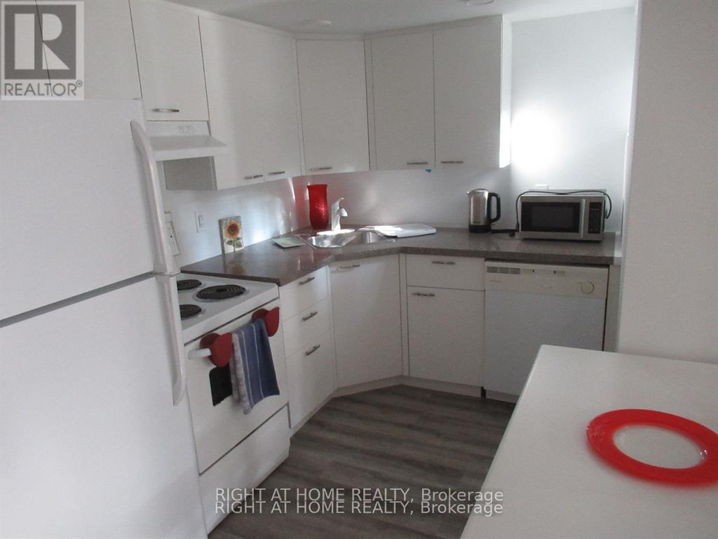 Lower - 272 Roxton Road, Toronto, Ontario  M6G 3P9 - Photo 2 - C12981084