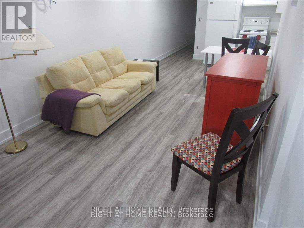 Lower - 272 Roxton Road, Toronto, Ontario  M6G 3P9 - Photo 4 - C12981084