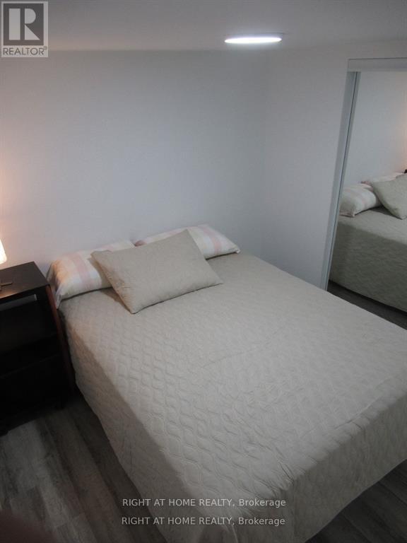 Lower - 272 Roxton Road, Toronto, Ontario  M6G 3P9 - Photo 8 - C12981084