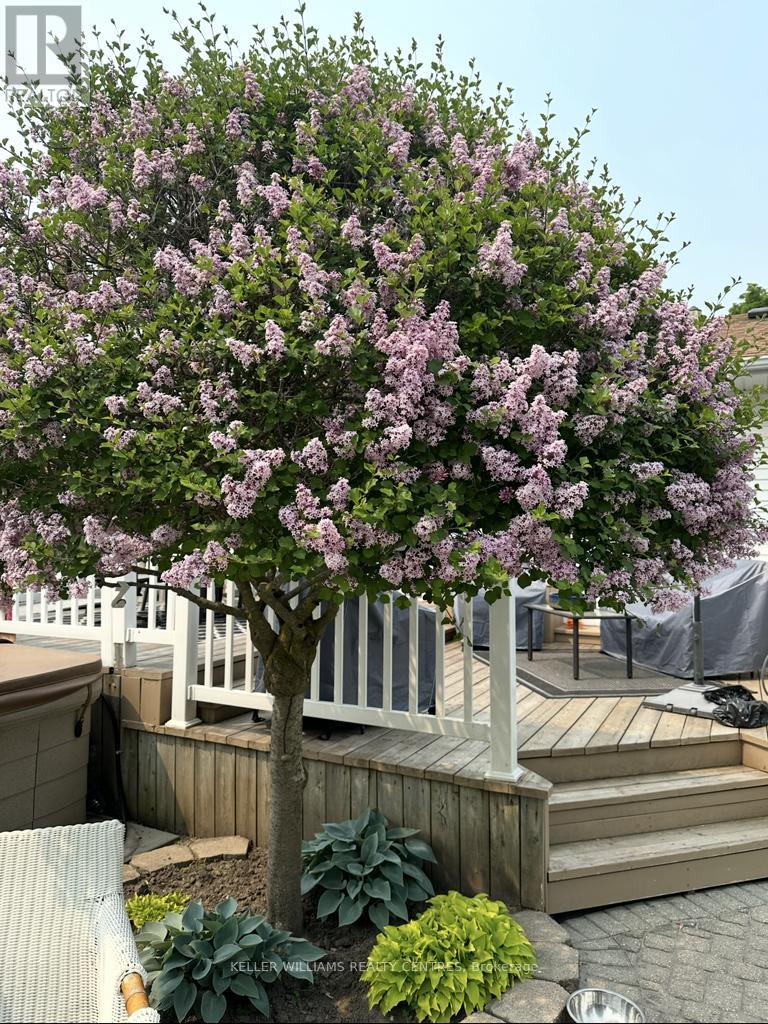 2209 Willard Avenue, Innisfil, Ontario  L9S 2C1 - Photo 44 - N12980986