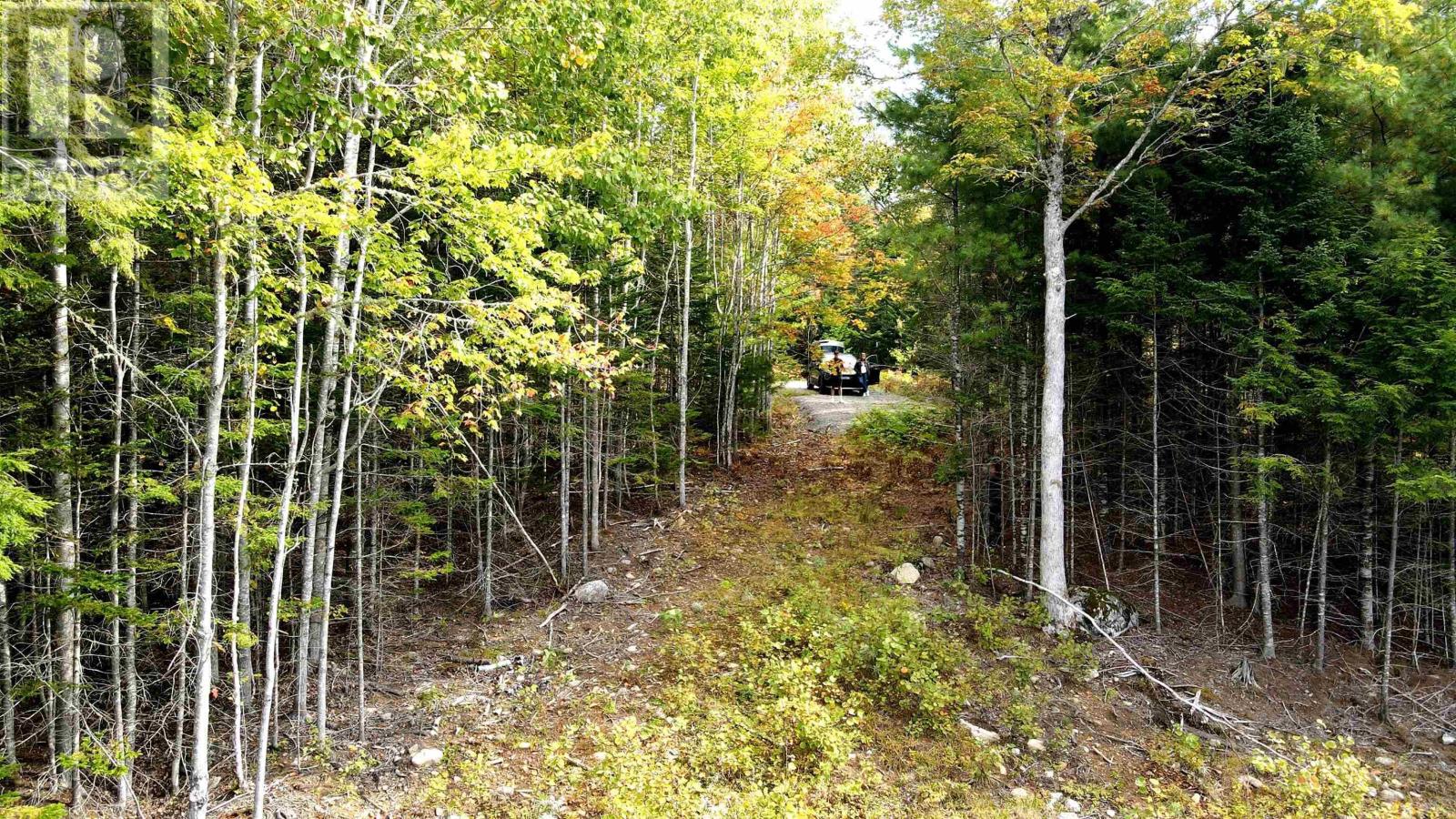 Lot 109 Blue Jay Way, Vaughan, Nova Scotia  B0N 2T0 - Photo 13 - 202524122