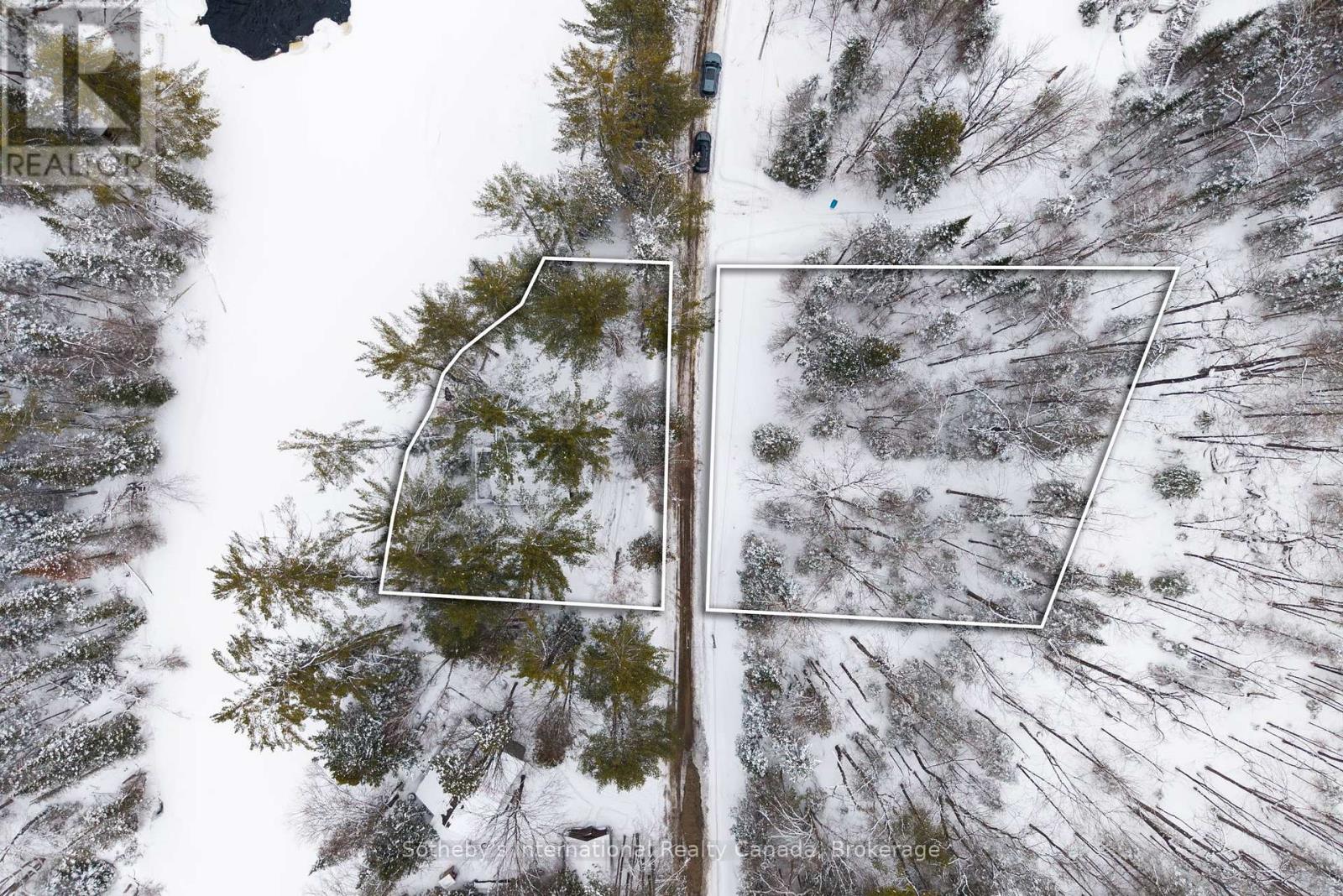 1079 Jopling Road, Minden Hills, Ontario  K0M 2A1 - Photo 28 - X12981230