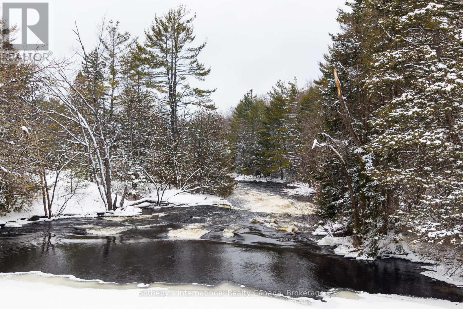 1079 Jopling Road, Minden Hills, Ontario  K0M 2A1 - Photo 29 - X12981230