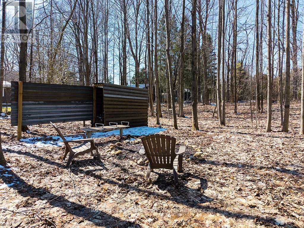 166 Raglan Street, Grey Highlands, Ontario  N0C 1E0 - Photo 17 - X12981244