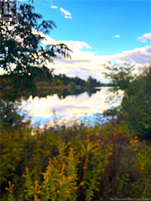 330 Westmount Boulevard, Moncton, New Brunswick  E1E 1V6 - Photo 5 - NB134266