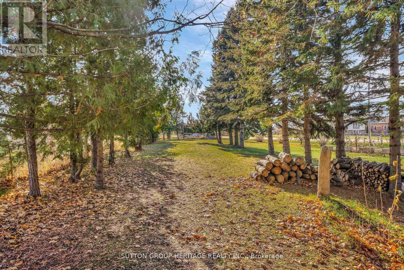 2020 Sturgeon Road, Kawartha Lakes, Ontario  K0M 1L0 - Photo 48 - X12981274