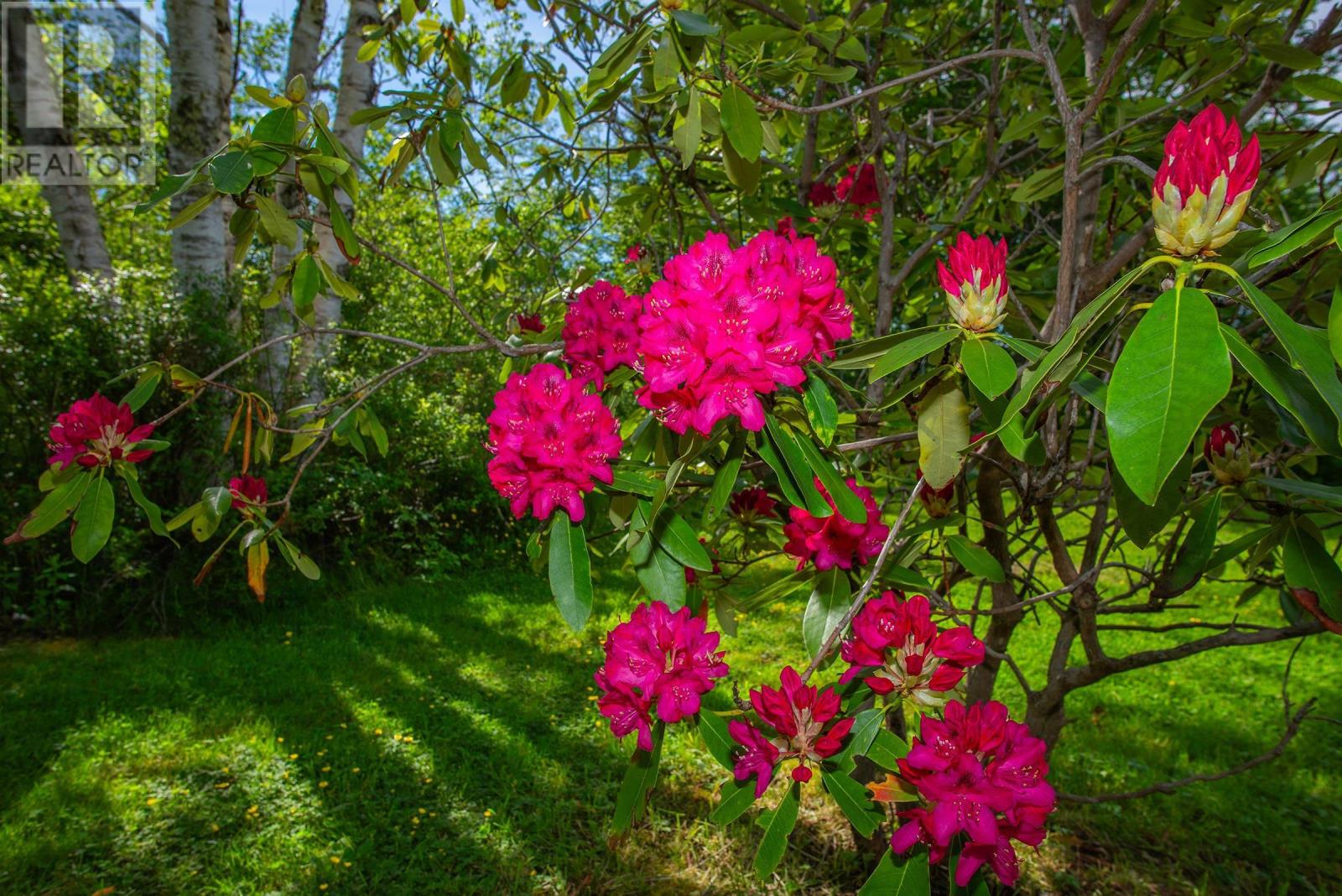 Lorem Ipsum Dolor Sit, Saulnierville Station, Nova Scotia  B0W  - Photo 45 - DEMO29214684