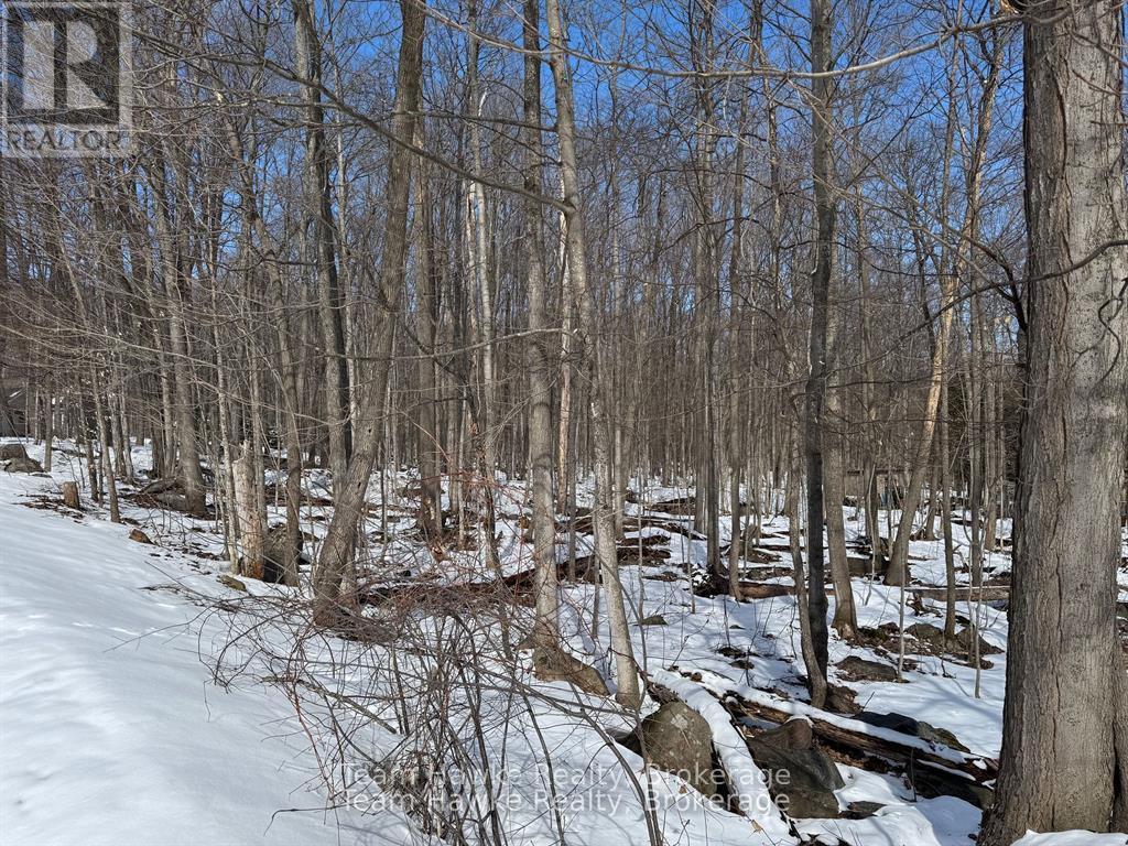 85 Polish Avenue, Penetanguishene, Ontario  L9M 1W8 - Photo 6 - S12981458