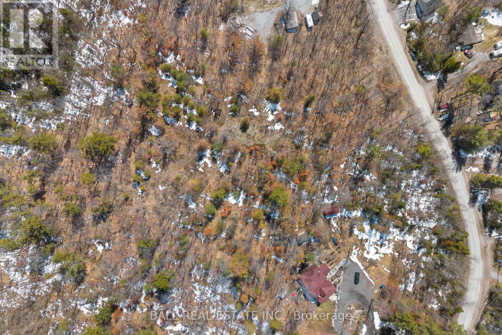 Lot 19 Edwina Drive, Trent Lakes, Ontario K0M 1A0 - Photo 12 - X12981542