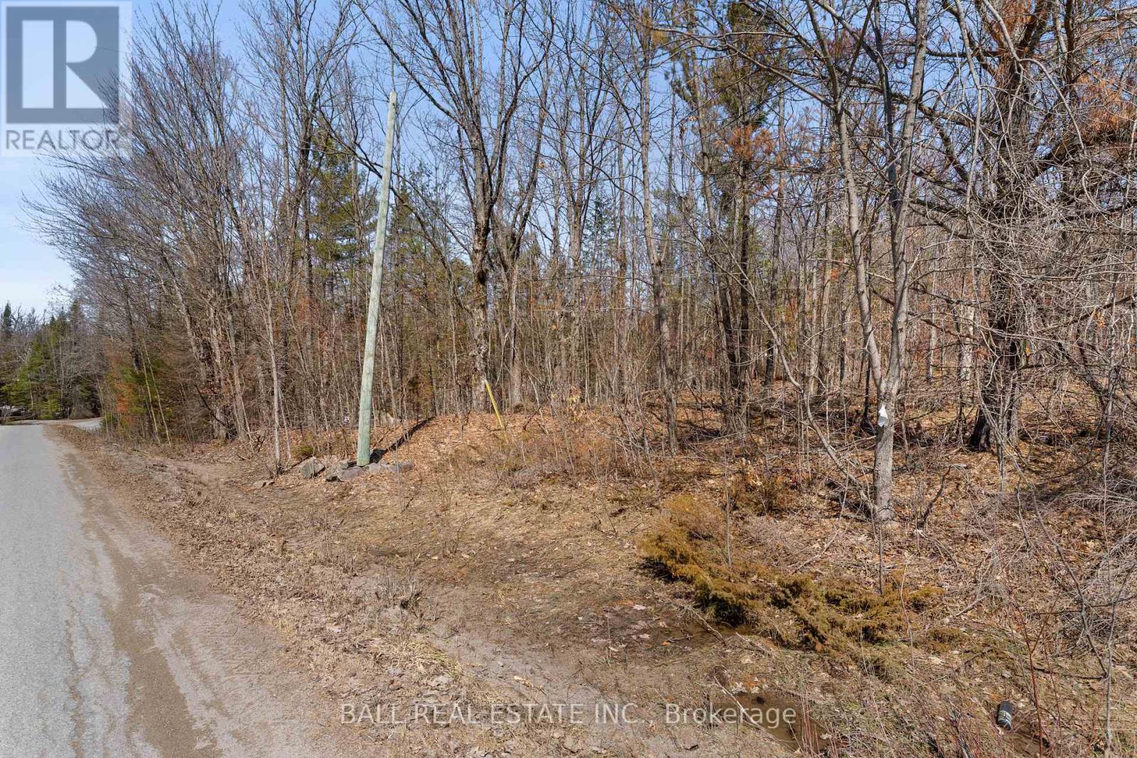 Lot 19 Edwina Drive, Trent Lakes, Ontario K0M 1A0 - Photo 6 - X12981542