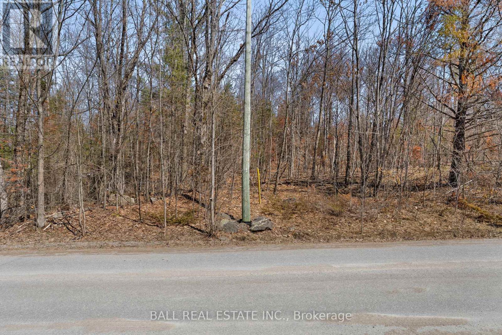 Lot 19 Edwina Drive, Trent Lakes, Ontario K0M 1A0 - Photo 7 - X12981542